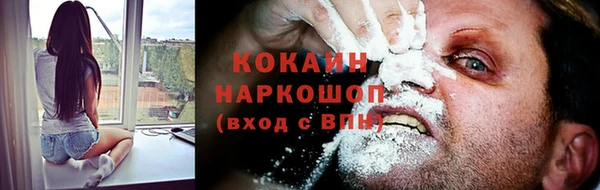 прущие грибы Магас