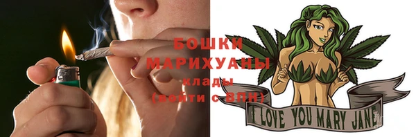 прущие грибы Магас