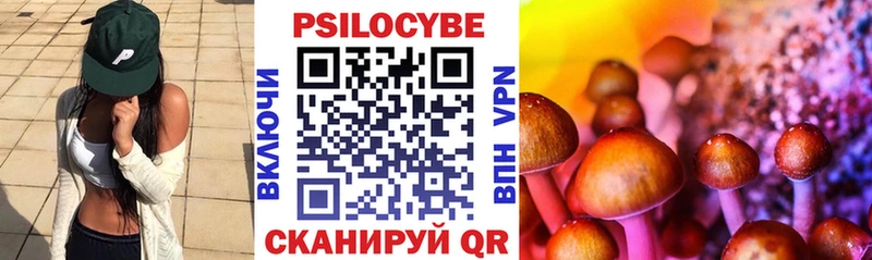 Купить где  Алексеевка  Галлюциногенные грибы мицелий 