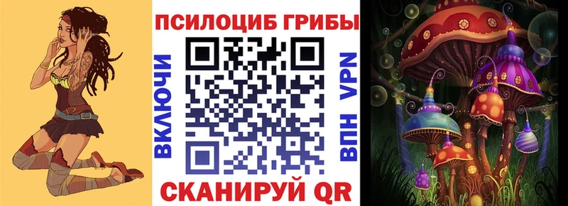 Псилоцибиновые грибы Psilocybe Алексеевка